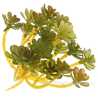 Растение искусственное "Суккулент Эхеверия красная", 8xH8 см - фото 1