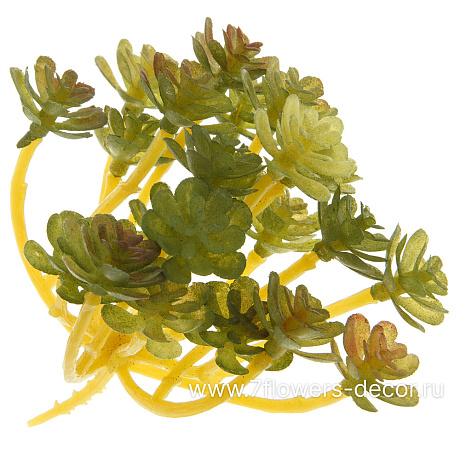 Растение искусственное Суккулент Эхеверия красная, 8xH8 см - фото 1