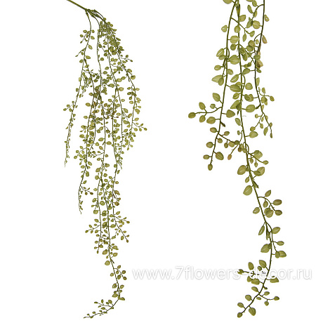 Растение искусственное ампельное Пеллея, H110 см - фото 1