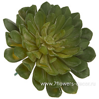 Растение искусственное "Суккулент Эониум Кастелло", 11xH12 см - фото 1