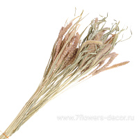 Букет из сухих колосовых культур "Могар", H60 см - фото 1