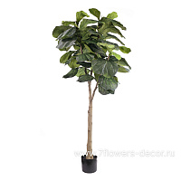 Дерево искусственное в кашпо "Фикус Лирата", H165 см, 45 листьев - фото 1