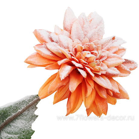 Цветок искусственный заснеженный Георгина, H52 см - фото 2