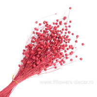 Букет из сухих колосовых культур "Лён", H40 см - фото 1