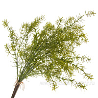 Растение искусственное "Аспарагус Шпренгера", H40 см, с силиконовым покрытием - фото 1