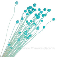 Сухоцветы, H70 см, набор (50 шт) - фото 1