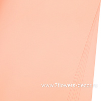 Пленка матовая "Шарм", 56x55 см, 63 mic, набор (20 шт) - фото 1