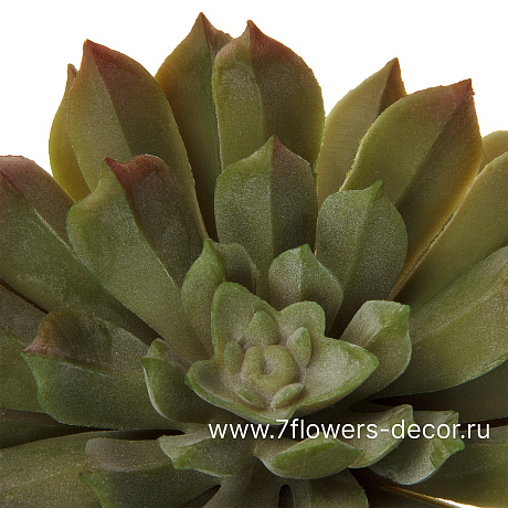 Растение искусственное Суккулент Эониум Кастелло, 10xH12 см - фото 2