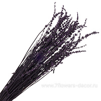 Сухоцветы стабилизированные "Лаванда", 100 г - фото 1