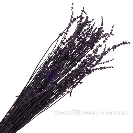 Сухоцветы стабилизированные Лаванда, 100 г - фото 1