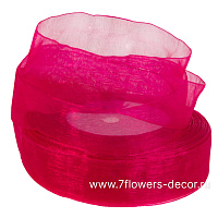 Лента органза, 25 ммx25 ярд - фото 1