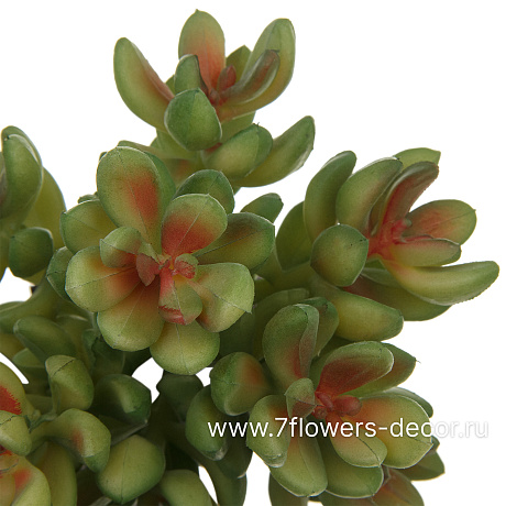 Растение искусственное Суккулент Седум красноокрашенный, 12xH12 см - фото 2