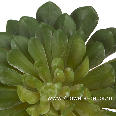 Растение искусственное Суккулент Эониум Кастелло, 11xH12 см - фото 2