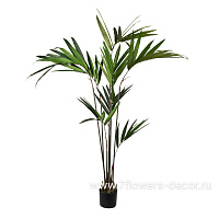 Растение искусственное в кашпо "Пальма Кентия", H153 см, 86 листьев - фото 1