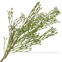 Растение искусственное "Аспарагус", H40 см - фото 1
