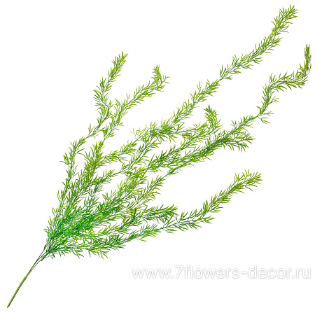 Растение искусственное ампельное Аспарагус, H110 см - фото 1