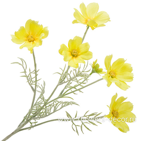 Цветок искусственный Космея, H78 см - фото 1