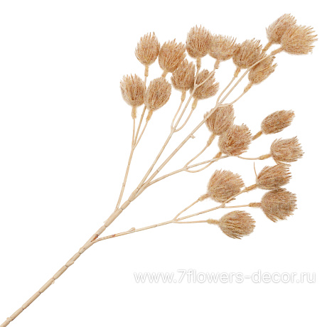 Растение искусственное Гомфрена, H78 см - фото 1