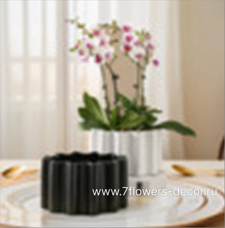 Кашпо Magnetic (керамика), D23,5xH13 см - фото 1