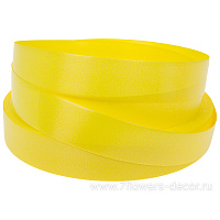 Лента полипропилен, 20 ммx100 ярд - фото 1