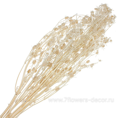 Сухоцветы, H70 см, набор - фото 1
