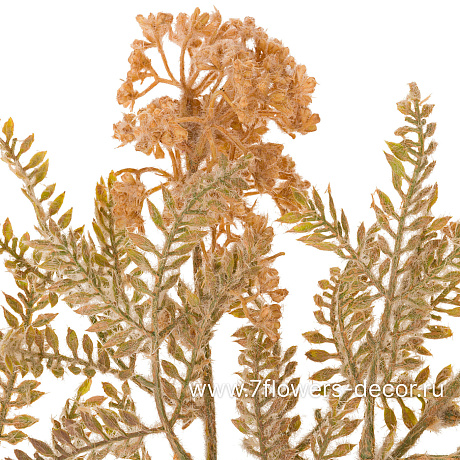Цветок искусственный Озотамнус, H70 см - фото 2