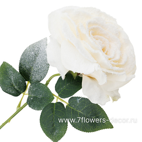 Цветок искусственный заснеженный Роза, H52 см - фото 2