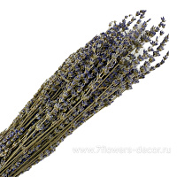 Сухоцветы "Лаванда", 50 г - фото 1