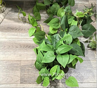 Растение искусственное ампельное "Потос", H82 см - фото 1